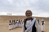 Ägypten: Fotogalerie: Die Wüste lebt