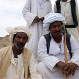 Ägypten: Fotogalerie: Die Wüste lebt - Bild 2