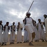 Ägypten: Fotogalerie: Die Wüste lebt - Bild 3