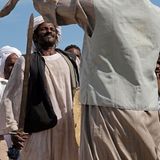 Ägypten: Fotogalerie: Die Wüste lebt - Bild 4