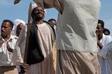 Ägypten: Fotogalerie: Die Wüste lebt - Bild 4
