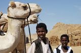 Ägypten: Fotogalerie: Die Wüste lebt - Bild 5