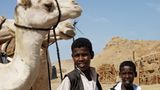 Ägypten: Fotogalerie: Die Wüste lebt - Bild 5