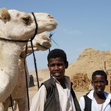 Ägypten: Fotogalerie: Die Wüste lebt - Bild 5