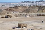 Ägypten: Fotogalerie: Die Wüste lebt - Bild 6