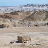 Ägypten: Fotogalerie: Die Wüste lebt - Bild 6