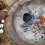 Ägypten: Fotogalerie: Die Wüste lebt - Bild 7