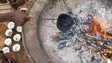 Ägypten: Fotogalerie: Die Wüste lebt - Bild 7