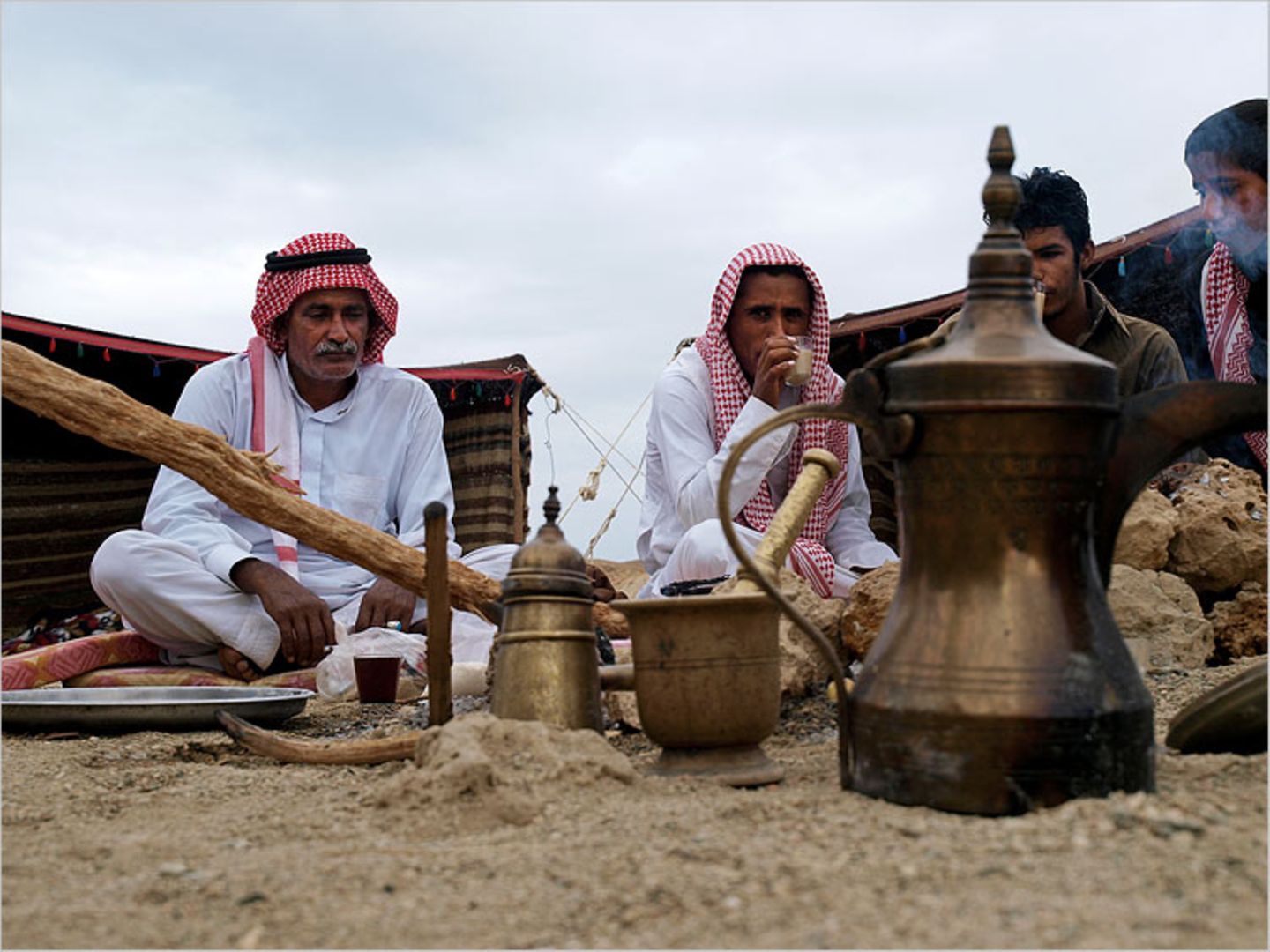 Ägypten: Fotogalerie: Die Wüste lebt - Bild 8