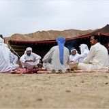 Ägypten: Fotogalerie: Die Wüste lebt - Bild 9