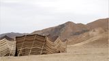 Ägypten: Fotogalerie: Die Wüste lebt - Bild 10