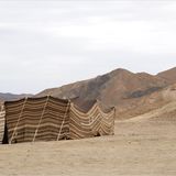 Ägypten: Fotogalerie: Die Wüste lebt - Bild 10