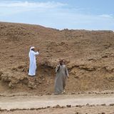 Ägypten: Fotogalerie: Die Wüste lebt - Bild 11