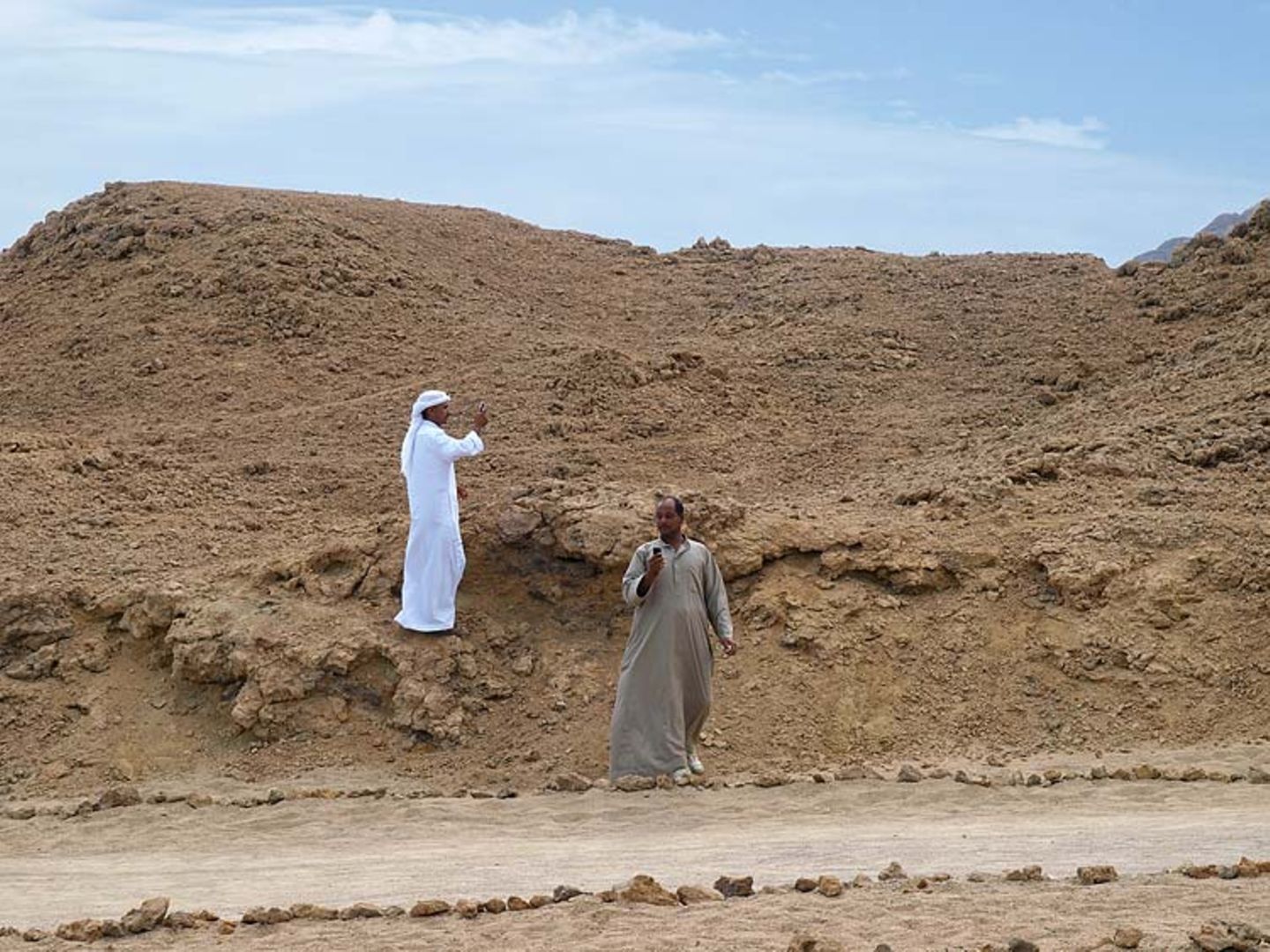 Ägypten: Fotogalerie: Die Wüste lebt - Bild 11 Ägypten: Fotogalerie: Die Wüste lebt - Bild 11