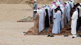 Ägypten: Fotogalerie: Die Wüste lebt - Bild 12