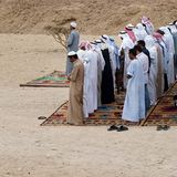 Ägypten: Fotogalerie: Die Wüste lebt - Bild 12