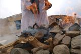 Ägypten: Fotogalerie: Die Wüste lebt - Bild 13