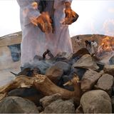 Ägypten: Fotogalerie: Die Wüste lebt - Bild 13