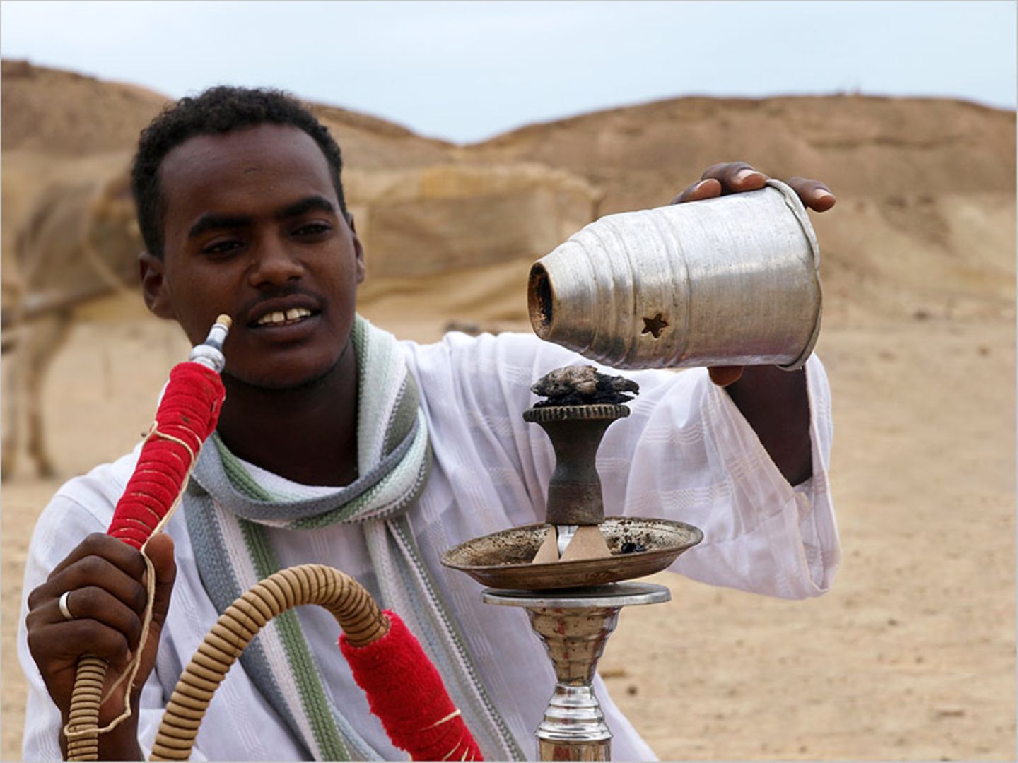Ägypten: Fotogalerie: Die Wüste lebt - Bild 14