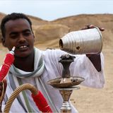 Ägypten: Fotogalerie: Die Wüste lebt - Bild 14