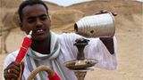 Ägypten: Fotogalerie: Die Wüste lebt - Bild 14