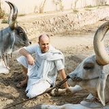 Fotogalerie: Fotogalerie: Aussteiger in Indien - Bild 10