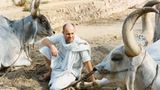 Fotogalerie: Fotogalerie: Aussteiger in Indien - Bild 10