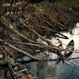 Fotogalerie: Pirahã, die Ureinwohner Brasiliens - Bild 9