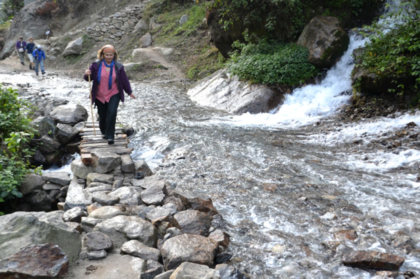 Fotogalerie der Baumschule in Manang, Nepal - Bild 2