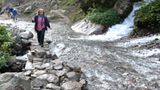 Fotogalerie der Baumschule in Manang, Nepal - Bild 2