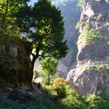 Fotogalerie der Baumschule in Manang, Nepal - Bild 3