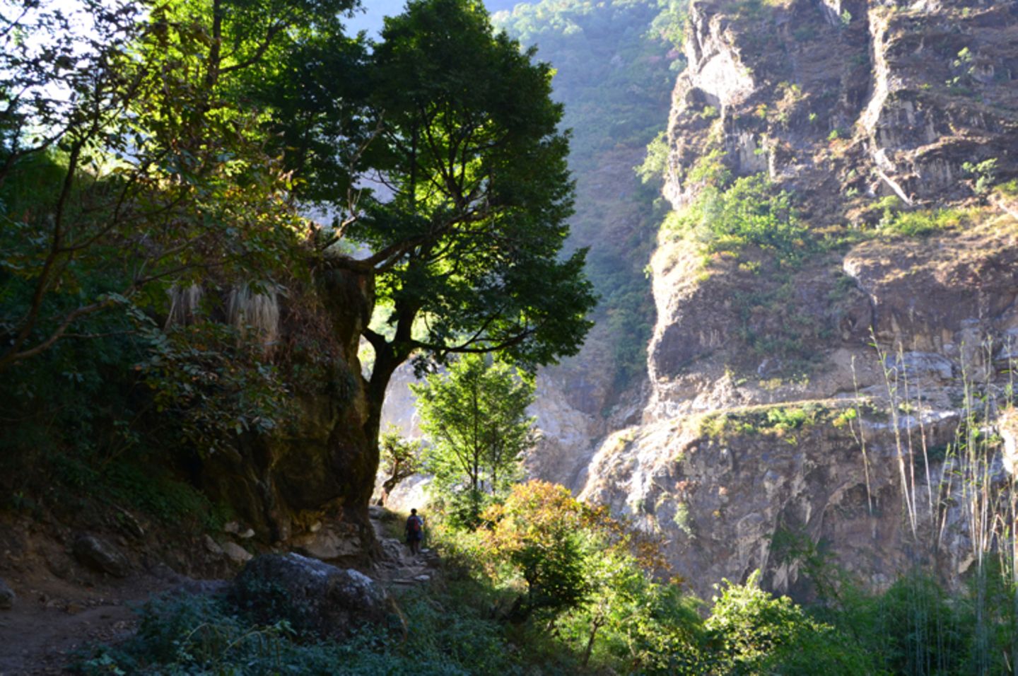 Fotogalerie der Baumschule in Manang, Nepal - Bild 3
