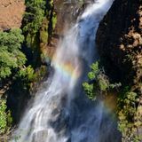 Fotogalerie der Baumschule in Manang, Nepal - Bild 4