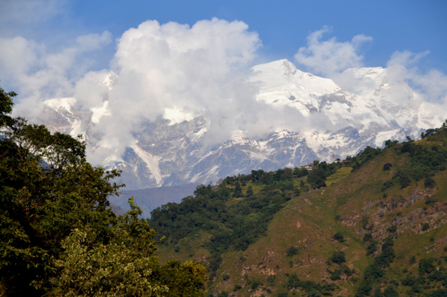 Fotogalerie der Baumschule in Manang, Nepal - Bild 14