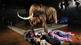 Fotogalerie: Nachts im Museum