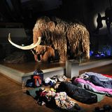 Fotogalerie: Nachts im Museum