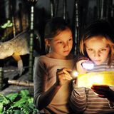 Fotogalerie: Nachts im Museum - Bild 2