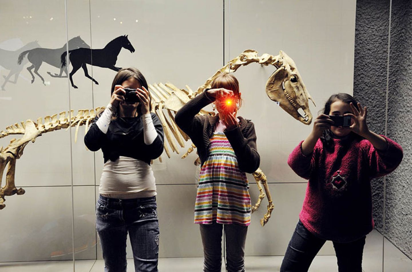 Fotogalerie: Nachts im Museum - Bild 5