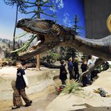 Fotogalerie: Nachts im Museum - Bild 7