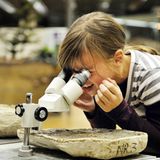 Fotogalerie: Nachts im Museum - Bild 8