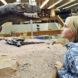 Fotogalerie: Nachts im Museum - Bild 9