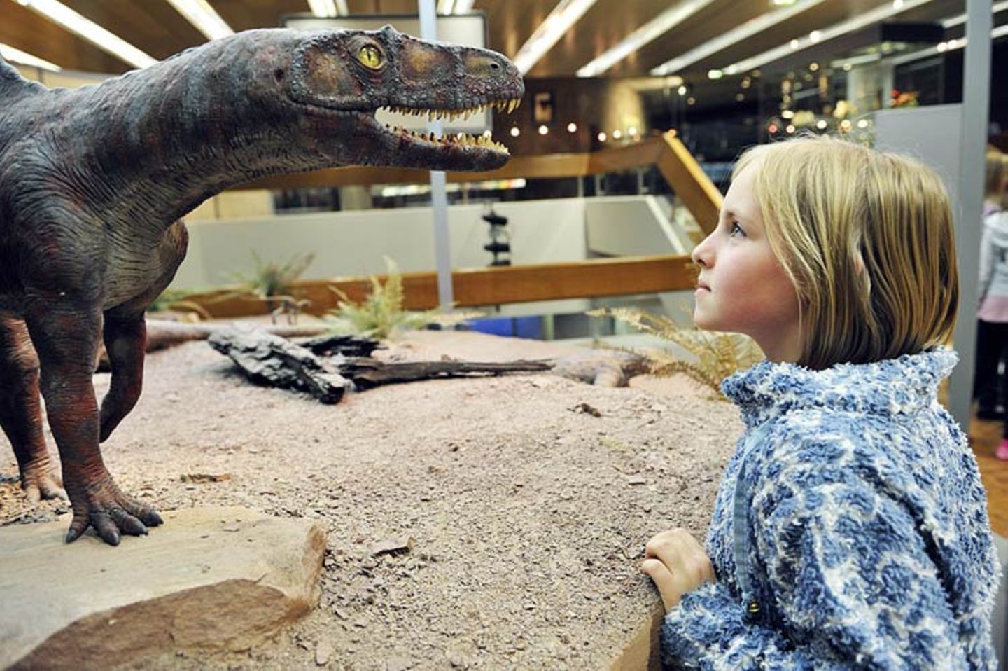 Fotogalerie: Nachts im Museum - Bild 9