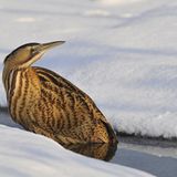 Leserfoto des Tages - Januar 2010