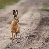 Leserfoto des Tages - Januar 2010 - Bild 2