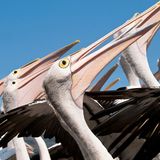 Leserfoto des Tages - Januar 2010 - Bild 5