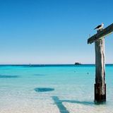 Leserfoto des Tages - Januar 2010 - Bild 7