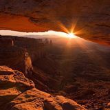 Leserfoto des Tages - Januar 2010 - Bild 9