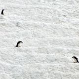 Leserfoto des Tages - Januar 2010 - Bild 11