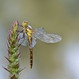 Leserfoto des Tages - Januar 2010 - Bild 12