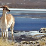 Leserfoto des Tages - Januar 2010 - Bild 15